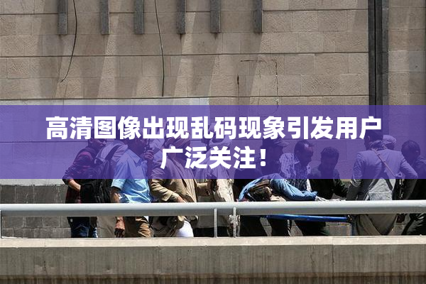 高清图像出现乱码现象引发用户广泛关注！