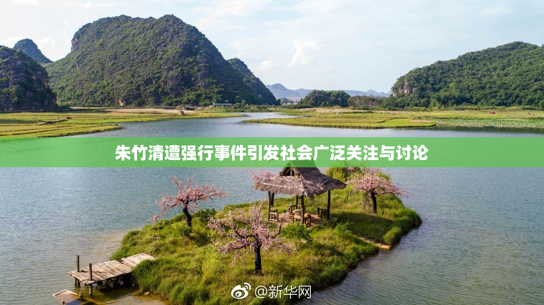 朱竹清遭强行事件引发社会广泛关注与讨论
