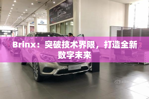 Brinx：突破技术界限，打造全新数字未来