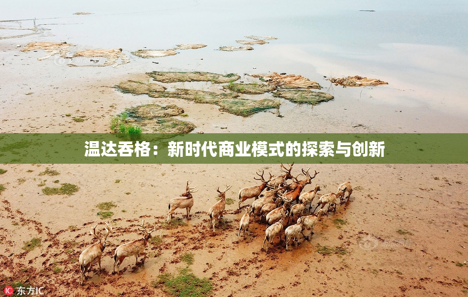 温达吞格：新时代商业模式的探索与创新