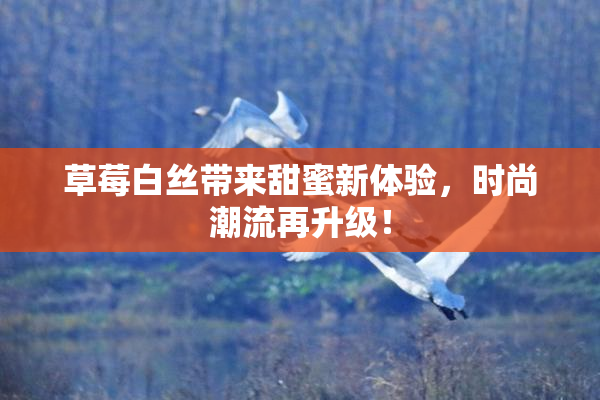 草莓白丝带来甜蜜新体验，时尚潮流再升级！