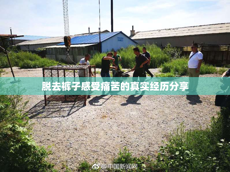 脱去裤子感受痛苦的真实经历分享