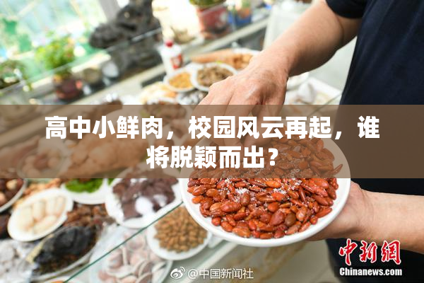 高中小鲜肉，校园风云再起，谁将脱颖而出？