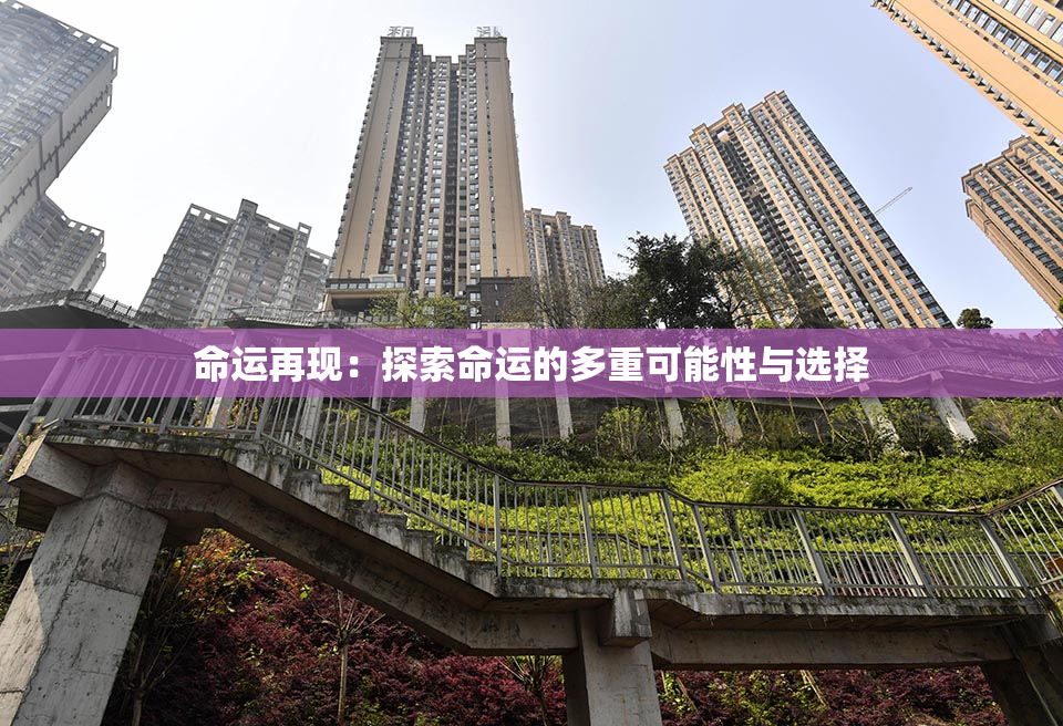 命运再现：探索命运的多重可能性与选择