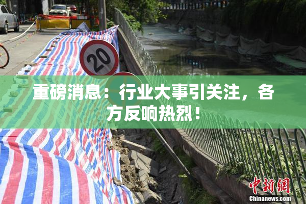 重磅消息：行业大事引关注，各方反响热烈！