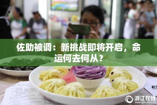 佐助被调：新挑战即将开启，命运何去何从？