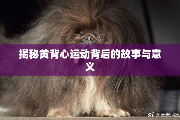 揭秘黄背心运动背后的故事与意义