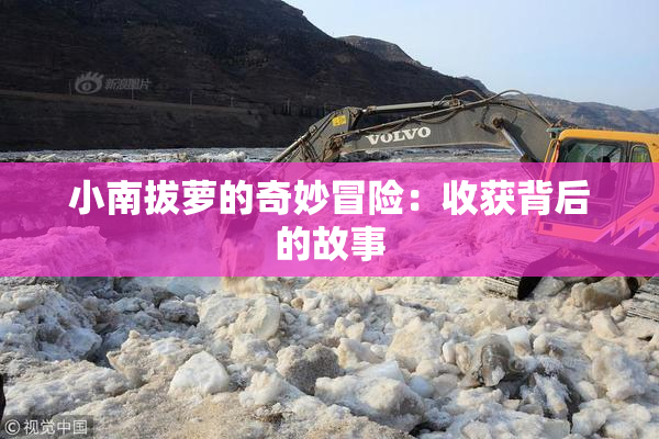 小南拔萝的奇妙冒险：收获背后的故事