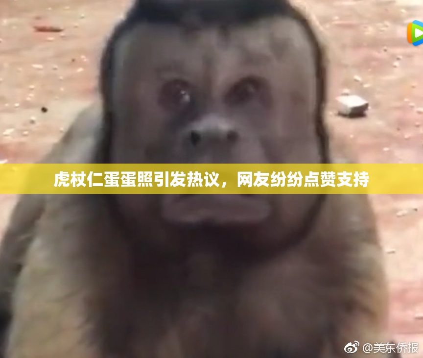 虎杖仁蛋蛋照引发热议，网友纷纷点赞支持