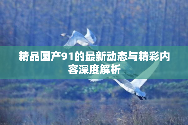 精品国产91的最新动态与精彩内容深度解析