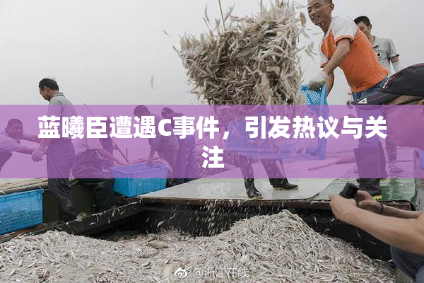 蓝曦臣遭遇C事件，引发热议与关注