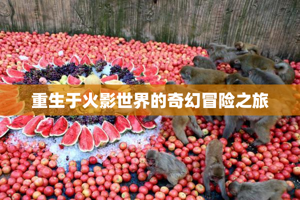 重生于火影世界的奇幻冒险之旅
