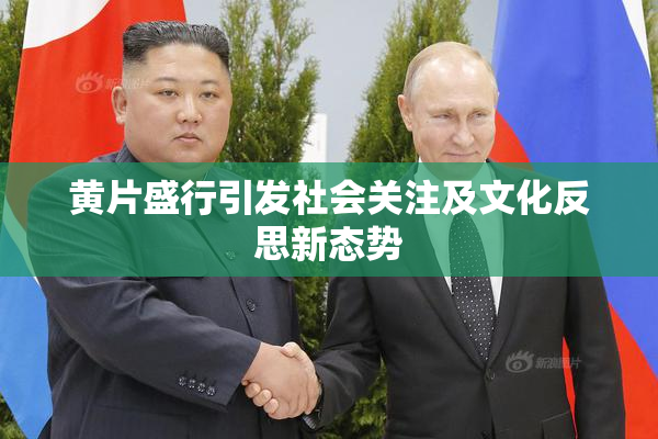 黄片盛行引发社会关注及文化反思新态势