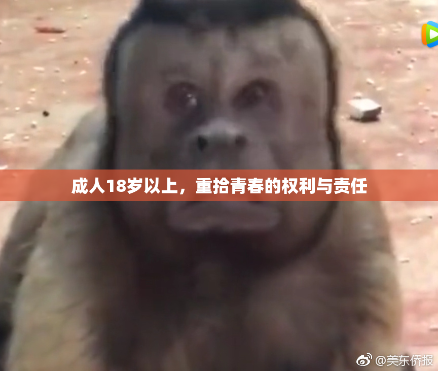 成人18岁以上，重拾青春的权利与责任