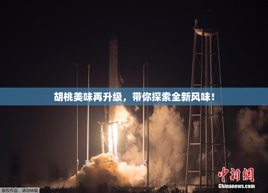 胡桃美味再升级，带你探索全新风味！