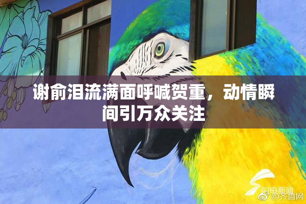 谢俞泪流满面呼喊贺重，动情瞬间引万众关注