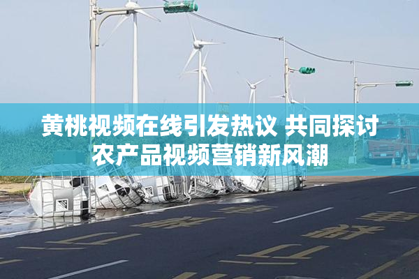 黄桃视频在线引发热议 共同探讨农产品视频营销新风潮
