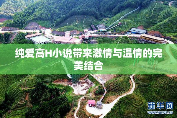 纯爱高H小说带来激情与温情的完美结合