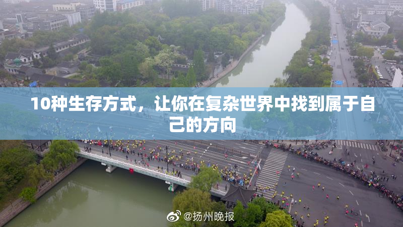 10种生存方式，让你在复杂世界中找到属于自己的方向