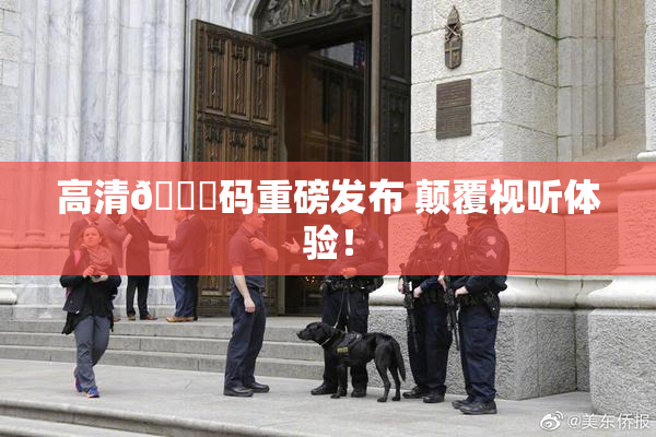 高清🈚码重磅发布 颠覆视听体验！