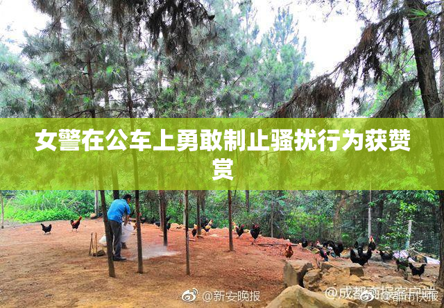 女警在公车上勇敢制止骚扰行为获赞赏