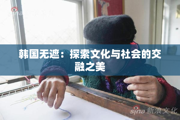 韩国无遮：探索文化与社会的交融之美