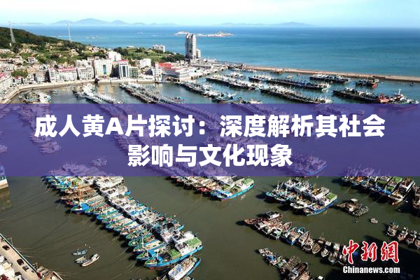 成人黄A片探讨：深度解析其社会影响与文化现象