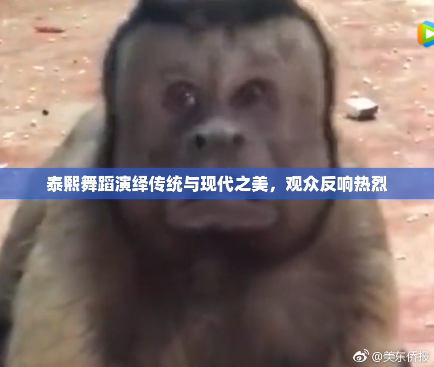 泰熙舞蹈演绎传统与现代之美，观众反响热烈