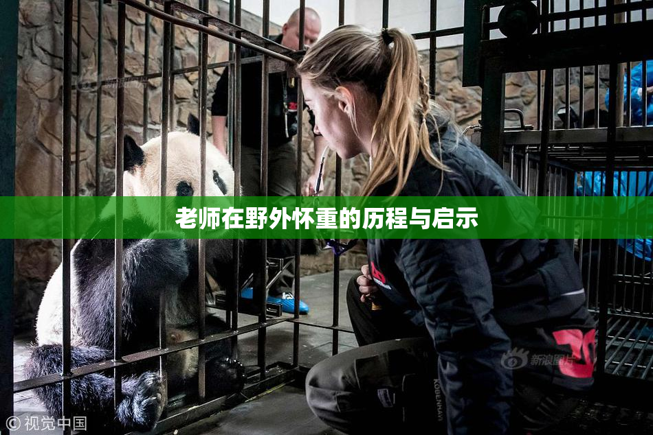 老师在野外怀重的历程与启示