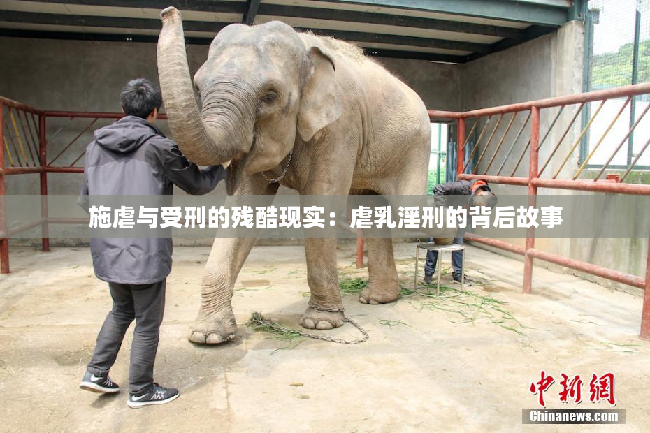 施虐与受刑的残酷现实：虐乳淫刑的背后故事