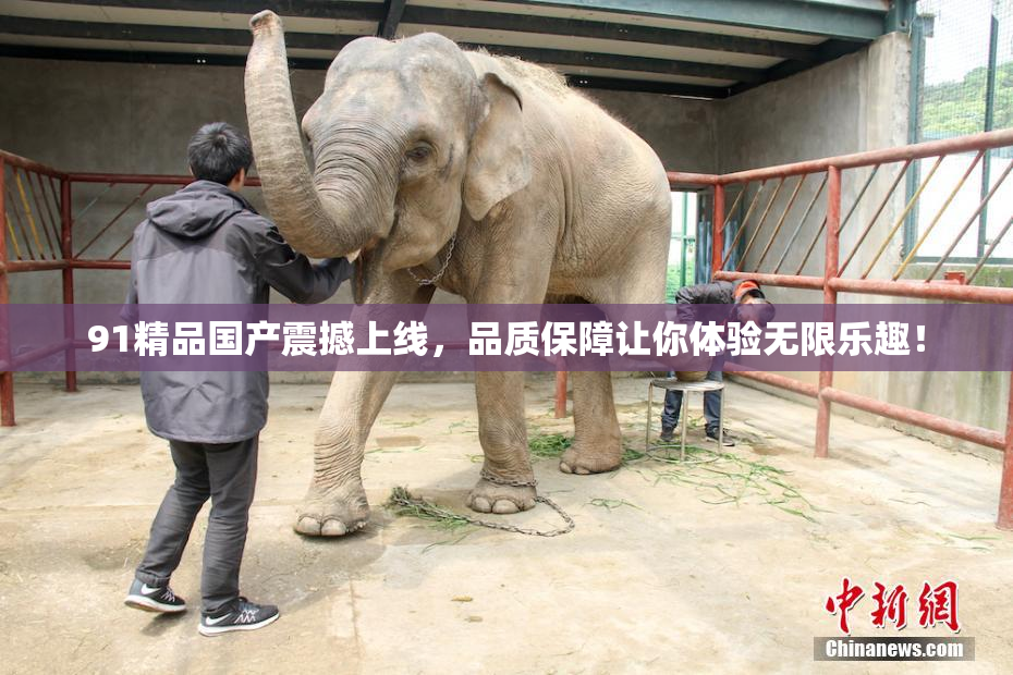 91精品国产震撼上线，品质保障让你体验无限乐趣！