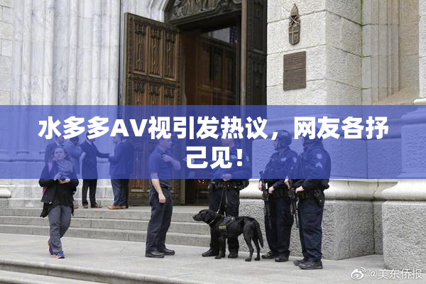 水多多AV视引发热议，网友各抒己见！
