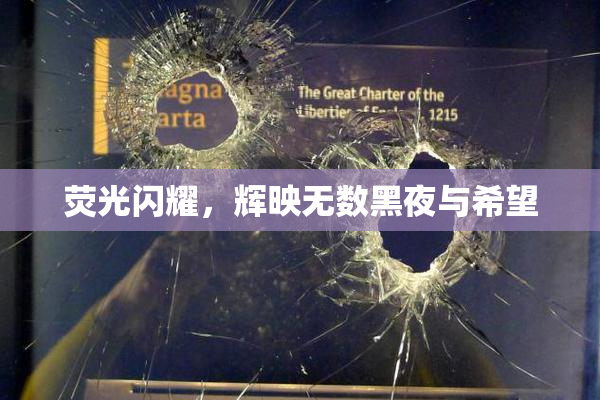 荧光闪耀，辉映无数黑夜与希望