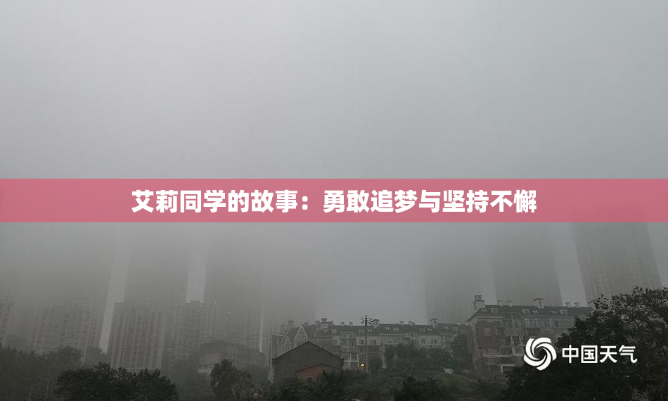 艾莉同学的故事：勇敢追梦与坚持不懈