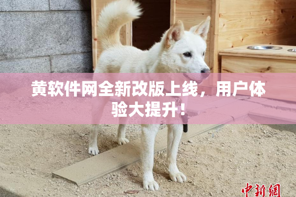 黄软件网全新改版上线，用户体验大提升！