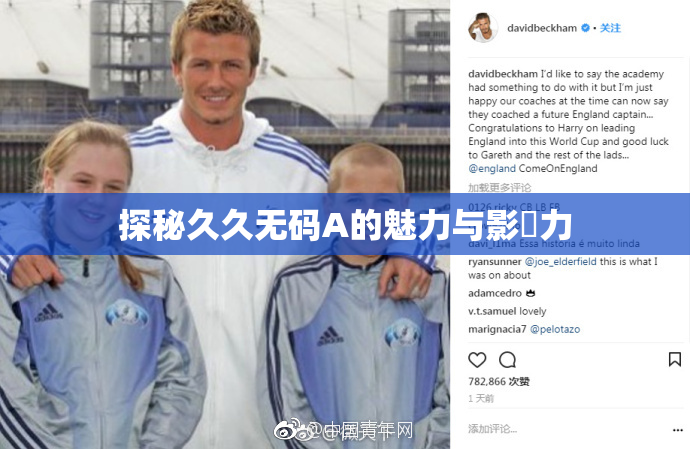 探秘久久无码A的魅力与影響力