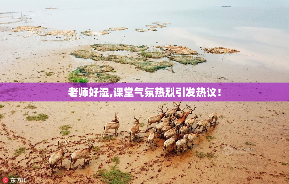 老师好湿,课堂气氛热烈引发热议！