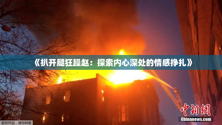 《扒开腿狂躁赵：探索内心深处的情感挣扎》