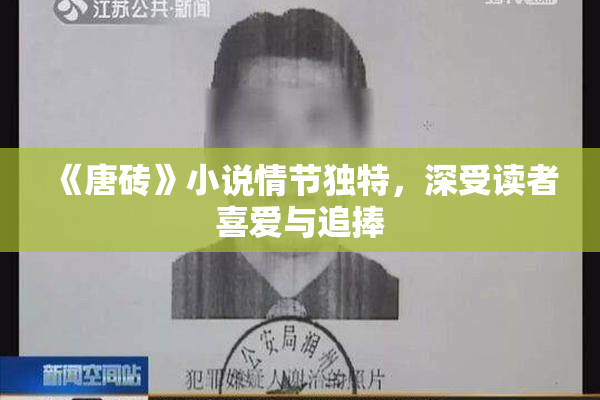 《唐砖》小说情节独特，深受读者喜爱与追捧