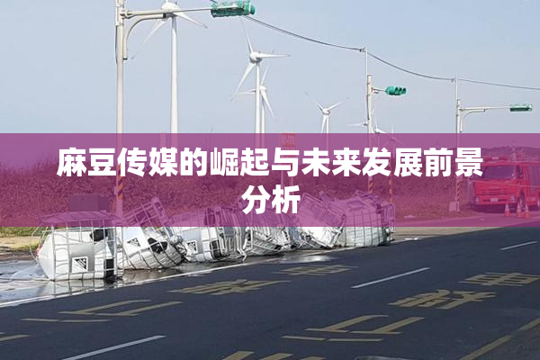 麻豆传媒的崛起与未来发展前景分析