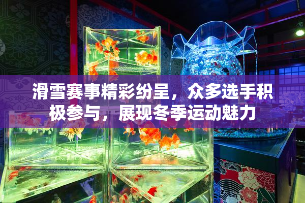 滑雪赛事精彩纷呈，众多选手积极参与，展现冬季运动魅力