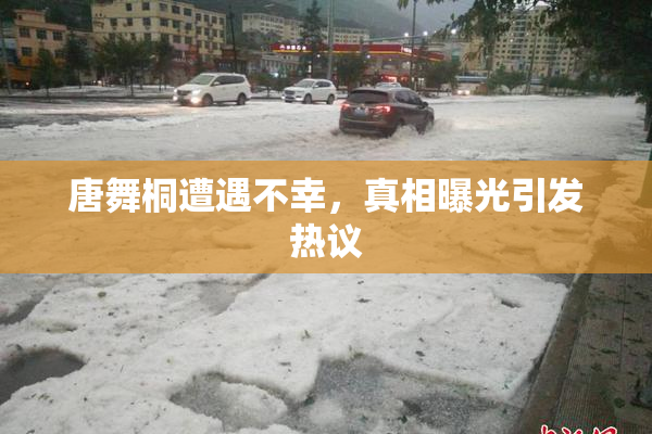 唐舞桐遭遇不幸，真相曝光引发热议
