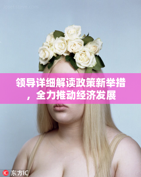 领导详细解读政策新举措，全力推动经济发展