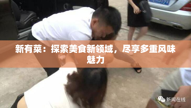 新有菜：探索美食新领域，尽享多重风味魅力