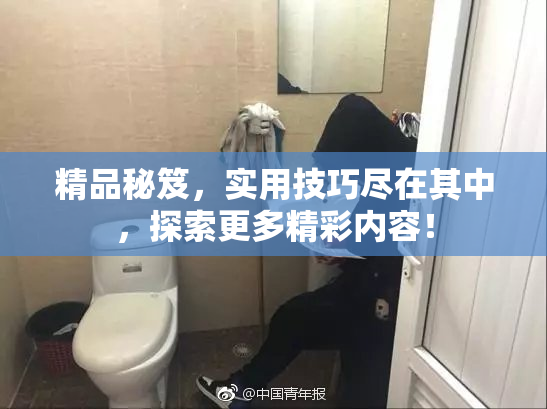 精品秘笈，实用技巧尽在其中，探索更多精彩内容！
