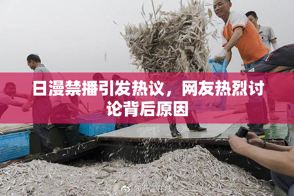 日漫禁播引发热议，网友热烈讨论背后原因