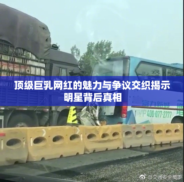 顶级巨乳网红的魅力与争议交织揭示明星背后真相