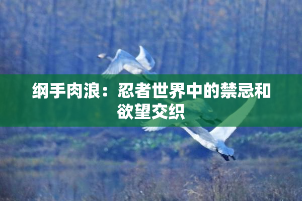 纲手肉浪：忍者世界中的禁忌和欲望交织