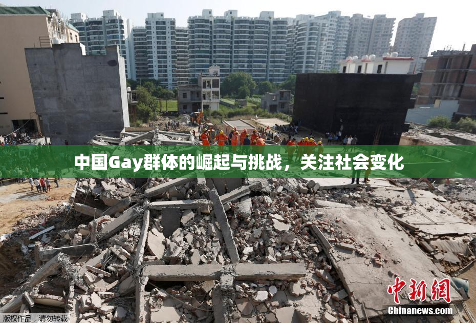 中国Gay群体的崛起与挑战，关注社会变化