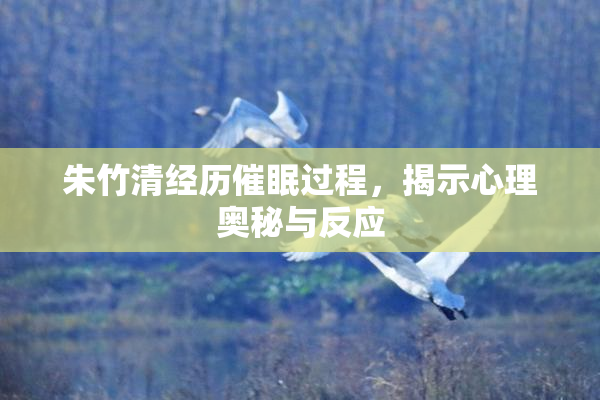 朱竹清经历催眠过程，揭示心理奥秘与反应